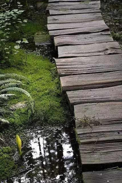 凯普特｜庭院大巧若拙的智慧