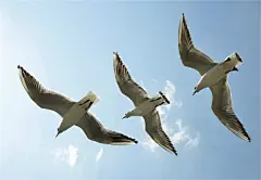 滇池景点图片