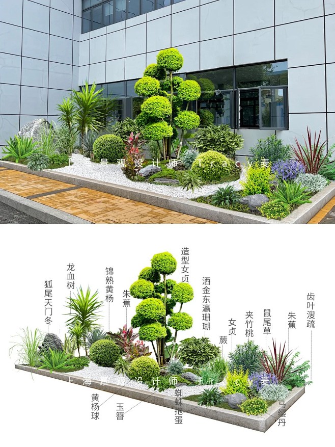 探索不同风格花镜，来选择适合你的吧！_1...