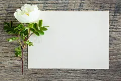 White rose with blank greeting card on the wooden table. Fresh flower.