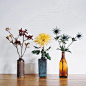 植物超话房间里充满生机的一角ins：jt_design ​​​​