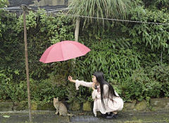 嘤🍬采集到人体