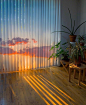 收集日落时分 

ins：tinycactus ​​​​#盛夏光影# ​​​​