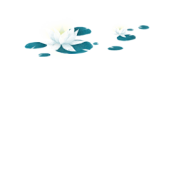 曳岚采集到花