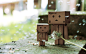 Danboard  纸箱人阿楞宽屏壁纸1920x1200第25张桌面