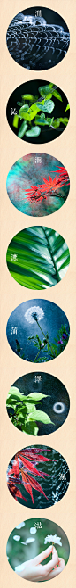 阳春三月（四） by 摄影Jan