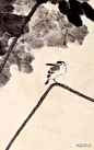 为什么八大山人画鸟常常是一只脚？大山人《荷鸟图》局部