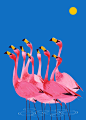pink flamingos: 