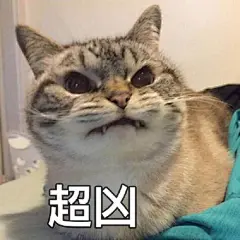 莫装逼，装逼遭雷劈……来看看一些表情包的后续故事 ​​​​#搞笑# ​​​​
