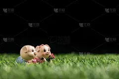 小猪在草地上