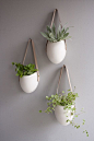 Planters by Light + Ladder