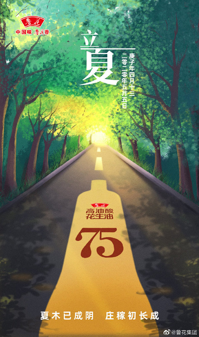 鲁花海报的搜索结果_360图片