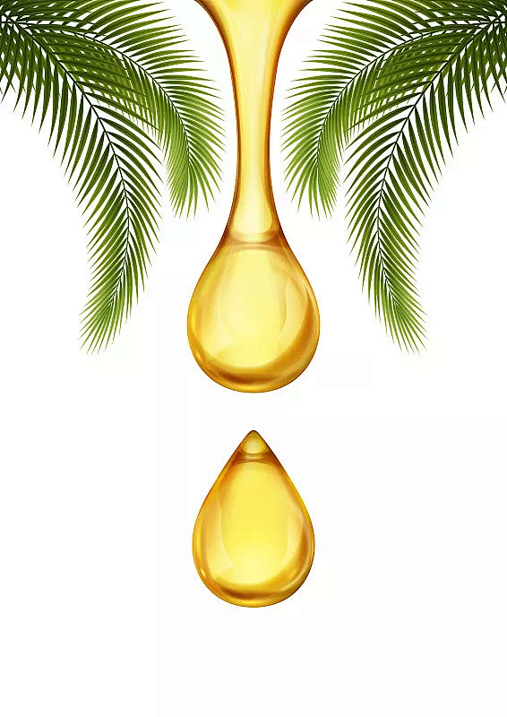 棕榈油,水滴,湿,自然界的状态,一个物体...