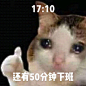 这不就是首页部分#成年人一天的心情# ​​​​