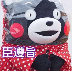 衣服不买了，饭局不凑了，歌不K了，不东奔西跑到处浪了，认真上班，努力打工，学习技能，省吃俭用省下钱来明年你的五十大寿，站在你娘家的地盘东京，给你给你都给你另外没人负责组织抢票没有中方负责人没有人负责官方翻译我也是个小破粉丝好了大家各自抢票加油日语记得多练习