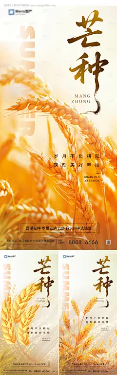 源文件下载【芒种节气海报】编号：72940031086843559