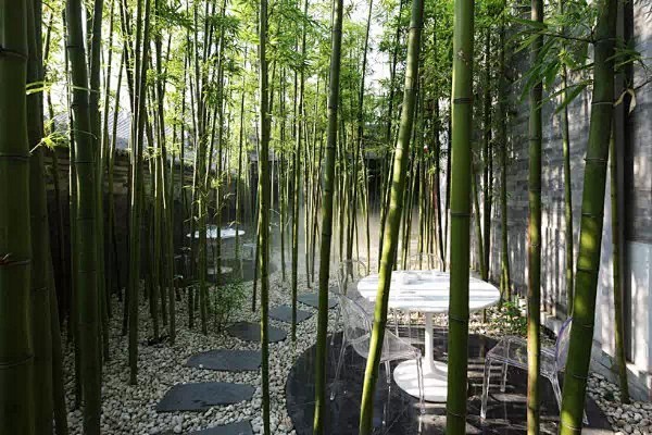 竹子在景观设计中的应用 · 竹林深处有人...