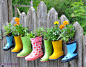 7、雨鞋变花筒，你敢想象？
　　你知道吗？家里废旧的雨鞋也可以拿来当花盘用，对比上面的几款，因为雨鞋有一定的深度，所以可以种植需要深深扎根的植物，如：鲜花。