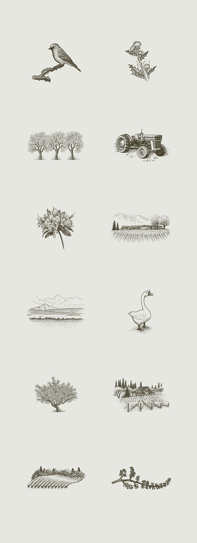 #包装设计##参考图##behance#...
