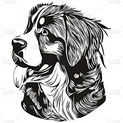 贝奈斯山狗狗手绘线条艺术矢量画黑白标识宠物插画