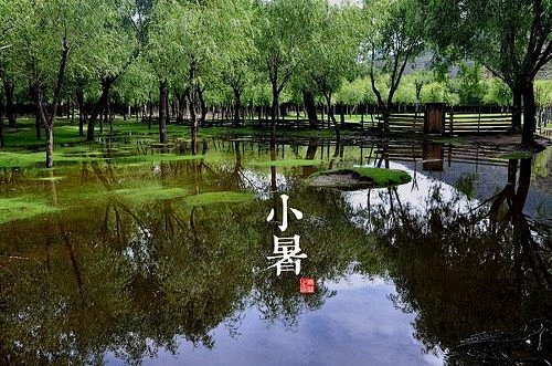 小暑（摄于西藏林芝）温风至、蟋蟀居辟、鹰...