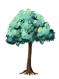 植物插画-一棵树
