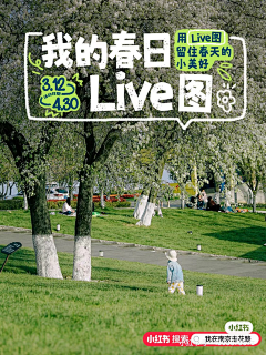 彭杰HARU采集到排版