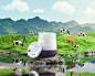 Moc Chau Milk Glutinous Yogurt : Yogurt combined with sweet and sour sticky rice is typically grown by people in the highlands of the Northwest. This project with four scenes of the Vietnamese Northwest region is Pha Luong Peak, Moc Chau Dairy Farm, Terra