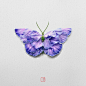 Seven Butterflies-花草昆虫-大自然的保护者---酷图编号1273467