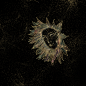 015aec5dd79ce2a8012053c0f4043a.png@1280w_1l_2o_100sh