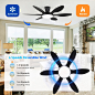 Ceiling Fans with Lights, 51 inch Modern Black Low Profile Ceiling Fan with Light and Remote App Control, Flush Mount, Quiet DC Reversible, Dim Led Ceiling Fan 6 Blade Softer Wind Indoor/Outdoor Patio - Amazon.com