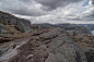 Nordic Nature (23)