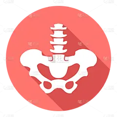 ICON-矢量人体医疗icon-骨盆