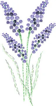 图源免费EPS文件 |彩色刺绣薰衣草花插画