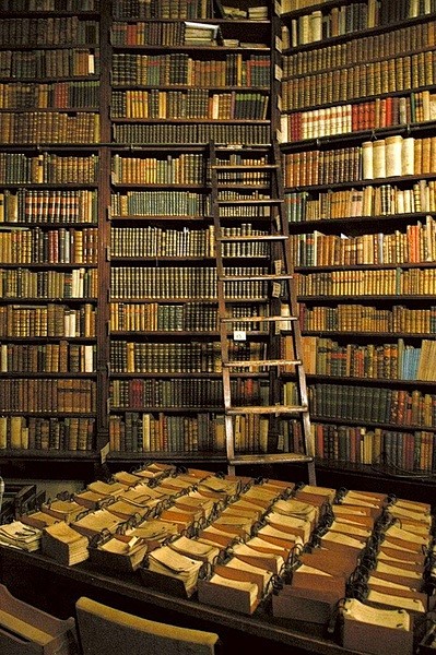 布达佩斯珍稀古籍图书馆