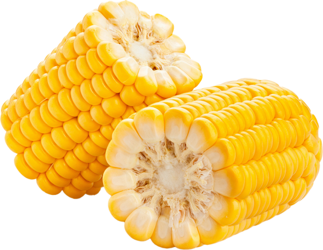 玉米