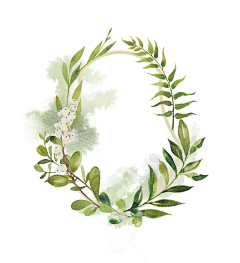 許娘-采集到植物