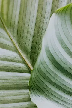 instagram故事背景, 壁紙, 天性 的 免费素材图片