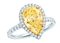 蒂芙尼黄钻戒指——铂金和18K黄金镶嵌白钻和3.04克拉浓彩黄钻