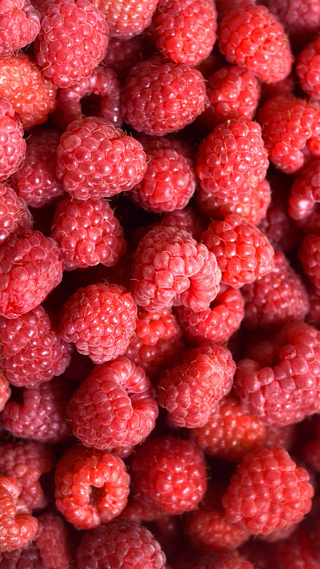 【山草莓】美食水果 。60000张优质采...