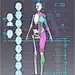 女人体骨骼肌肉对照版