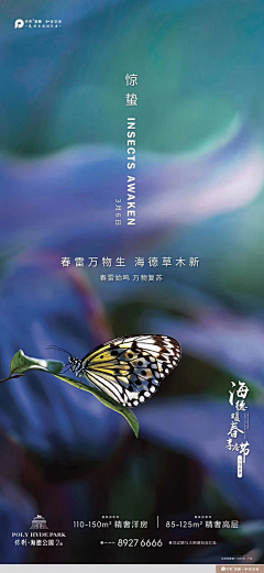 乌啦啦乌啦啦采集到节日