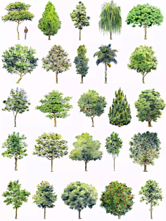 landscape|photoshop library-花瓣网|陪你做生活的设计师 | 香樟2
