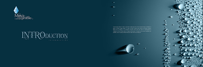 MOYA WATER CORPORATE...
