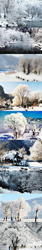 时尚创意家居精选：【辽宁本溪 冰雪雾凇】