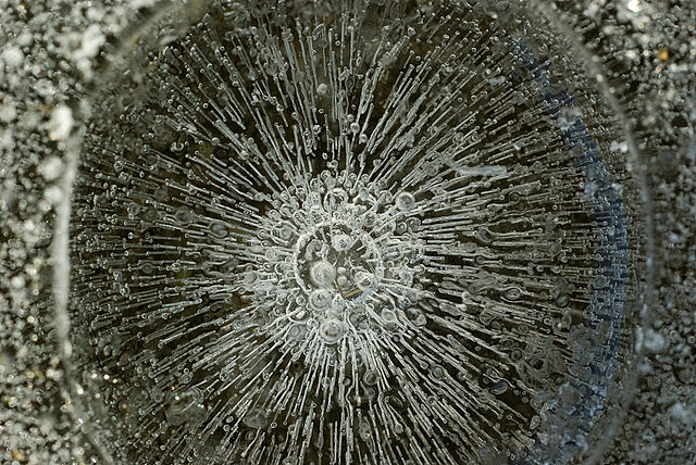 akong36通过书签栏工具采集于2013-05-23 11:18:03冰的结构微观摄影a