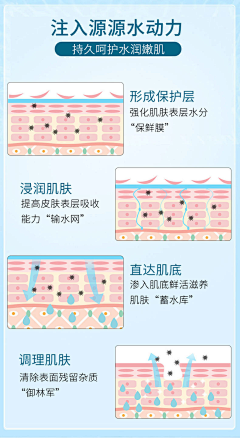 su湘采集到肌肤结构