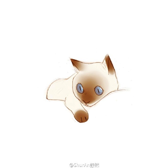 ShurAn舒然的照片 - 微相册