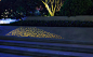 阳江中央商务区滨江景观带
星光般的穿孔板树池
