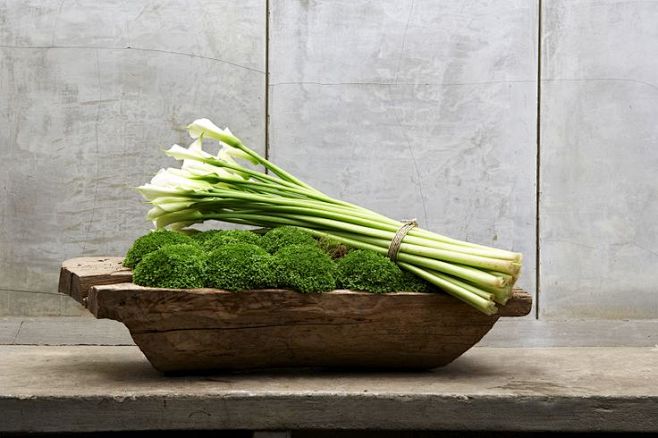 McQueens florist | o...